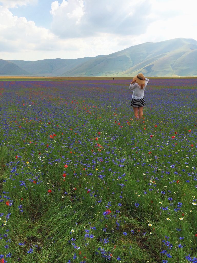 Castelluccio di Norcia
