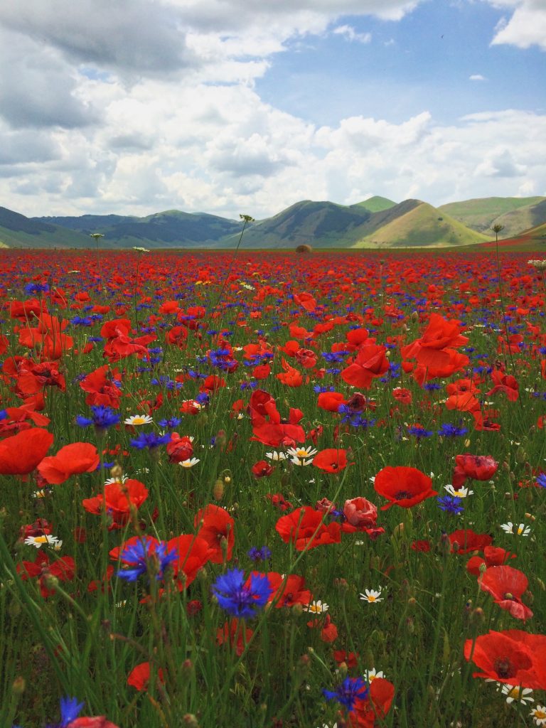 Castelluccio di Norcia